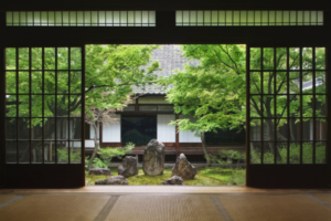 Contemplative Gardens: Crafting Spaces of Tranquility and Reflection through Meticulous