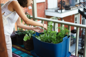 From Balcony to Table: A Comprehensive Guide to Small-Space Urban