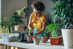 Gardening Without Chemicals: Natural Alternatives for Pest and Disease Management