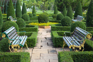 Green Palette: Exploring Colors and Textures in Garden Design