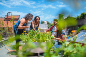 Planting Life on Urban Streets: Cultivating Community Gardens Amidst Urbanization