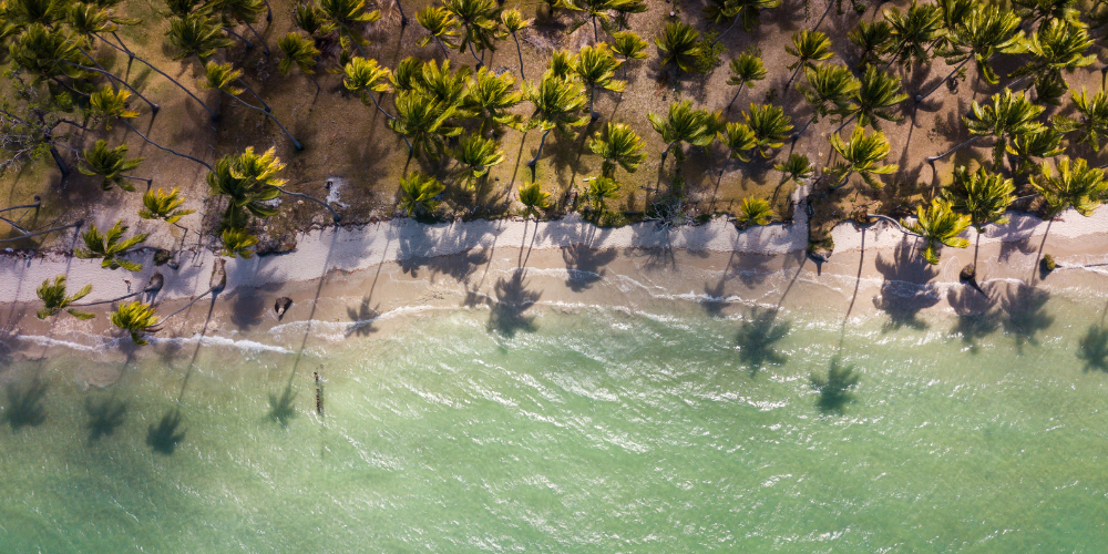 Viagem para Porto de Galinhas: descubra um paraíso