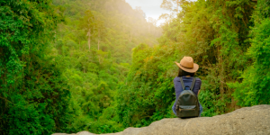 Ecoturismo na Amazônia brasileira: um convite à aventura capa (7)