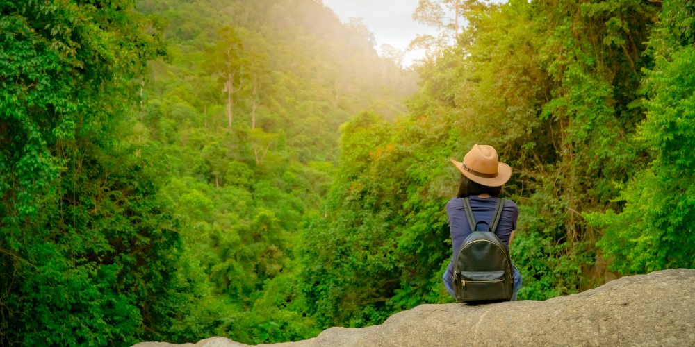 Ecoturismo na Amazônia brasileira: um convite à aventura