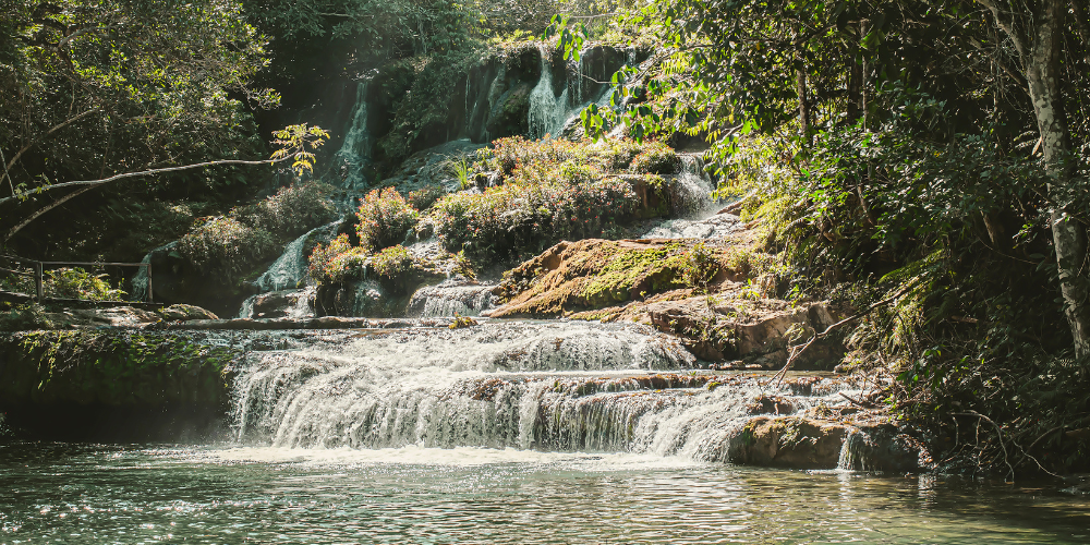 Passeios em Bonito Mato Grosso do Sul: descubra belezas naturais