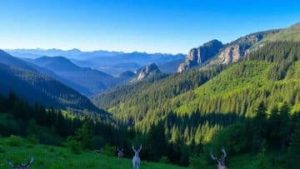 unnamed-file-42-360×203