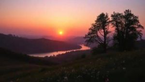 unnamed-file-81-360×203