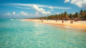 unnamed-file-83-360×203