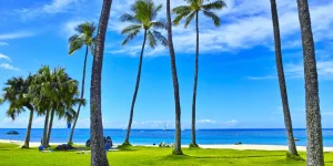 Aumento nas reservas de destinos latino-americanos entre brasileiros P1 (60)_11zon