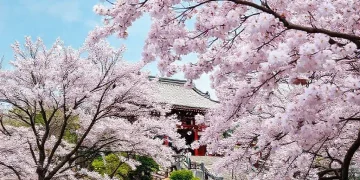 Turismo no Japão: descubra os segredos da Terra do Sol Nascente