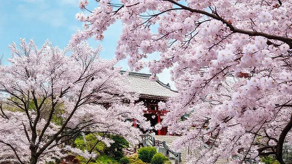 Turismo no Japão: descubra os segredos da Terra do Sol Nascente